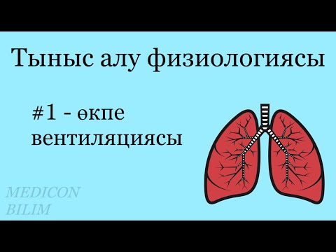 Видео: Тыныс алу физиологиясы. Өкпе вентиляциясы | Физиология дыхания | Физиология курсқа тіркелу👇