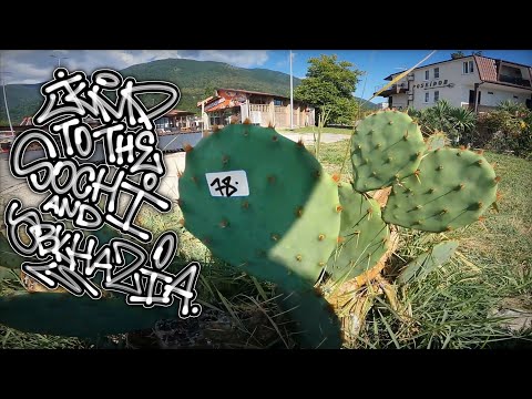 Видео: Graffiti jump to the Sochi & Abkhazia / tags, stickers, graffiti piece / Хруст 78'crue #graffiti