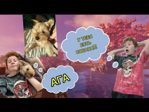 Видео: Я КУПИЛ СОБАКУ?!