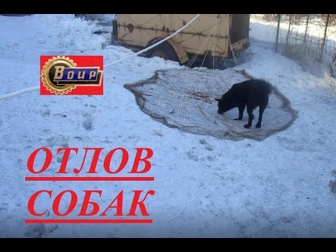 Видео: Для общества зашиты животных отлов бродячих собак обучу изготовлю сеть для отлова, клетки, петли.