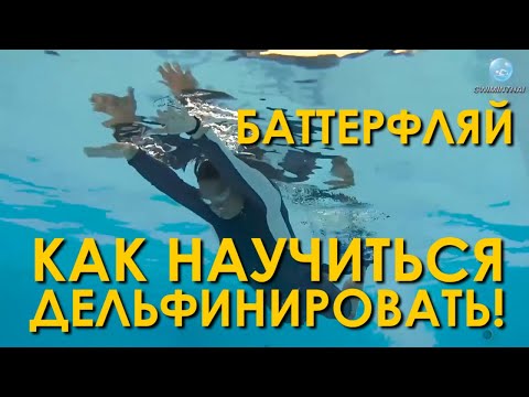 Видео: Плавание баттерфляем: дельфинирование!