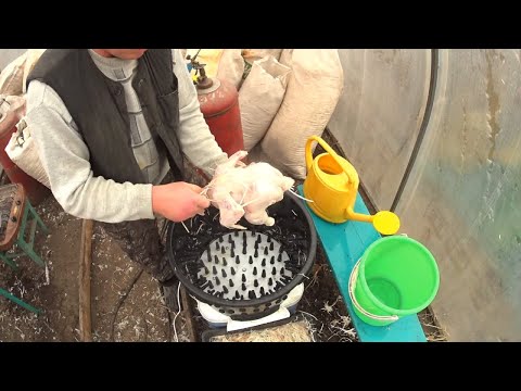 Видео: Такая машинка нужна самому Перосъемная машина в работе Отлично снимает перо