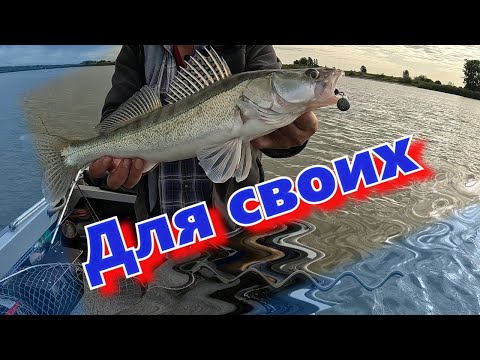 Видео: Необычное удилище. Отзыв речного спиннингиста. RYOBI VARIUS JERK