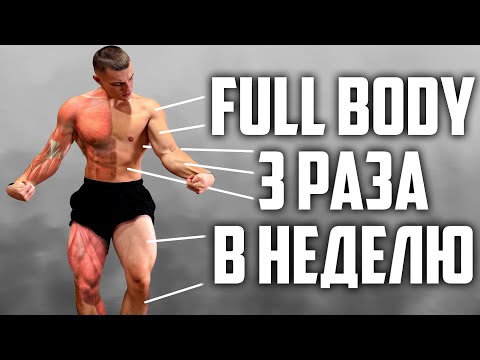 Видео: FULL BODY ПЛАН 3 РАЗА В НЕДЕЛЮ!