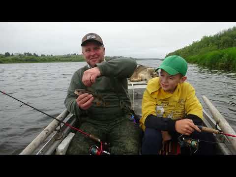Видео: тролинг .