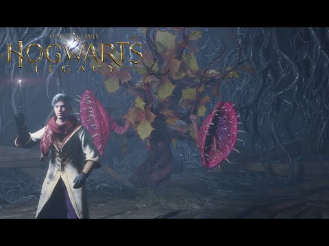 Видео: Нашли ГИГАНСКУЮ ЯДОВИТУЮ ТЕНТАКУЛУ!!! Hogwarts Legacy #6