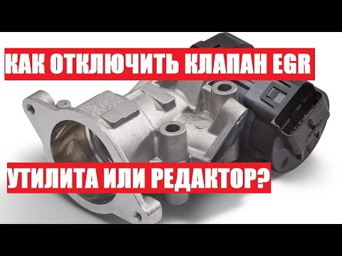 Видео: Утилита по удалению клапана ЕГР или все же работа мастера? В чем отличие?