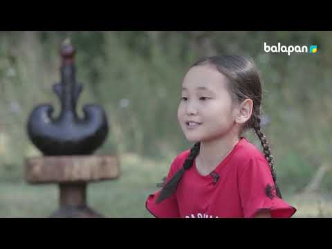 Видео: «Үйрен де, жирен» бағдарламасы (2018 ж.) Торсық жасау