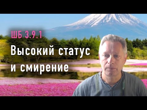 Видео: 2022-07-29 - ШБ 3.9.1 - Высокий статус и смирение
