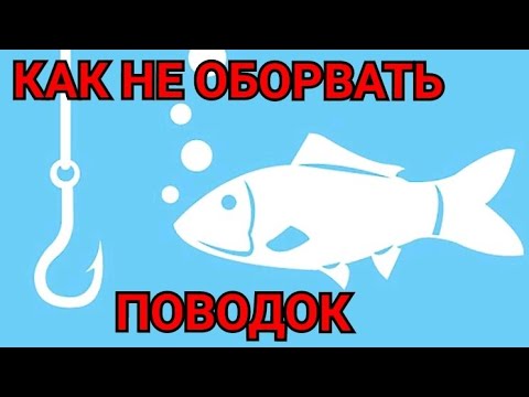 Видео: Как не Оборвать Поводок при Вываживании КРУПНОЙ РЫБЫ