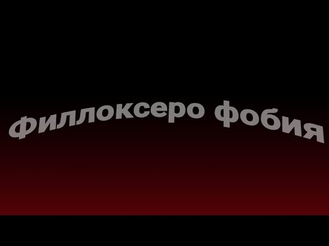 Видео: 👉У Вас не будет заражения если соблюдать эти правила! 