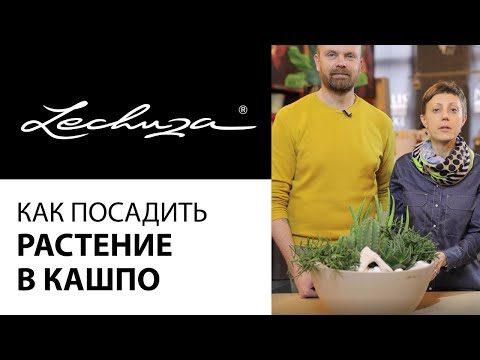 Видео: Кашпо Lechuza. Как посадить растение в кашпо Лечуза