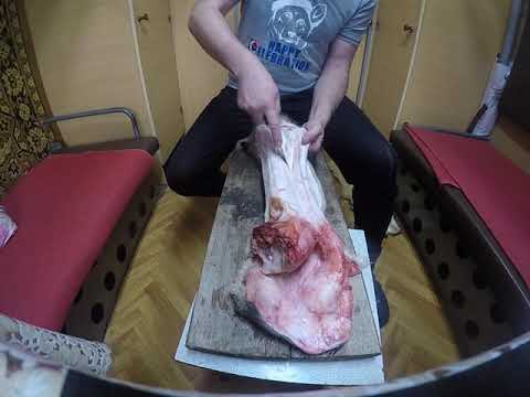 Видео: Что такое камус, как его снимать и расколачивать