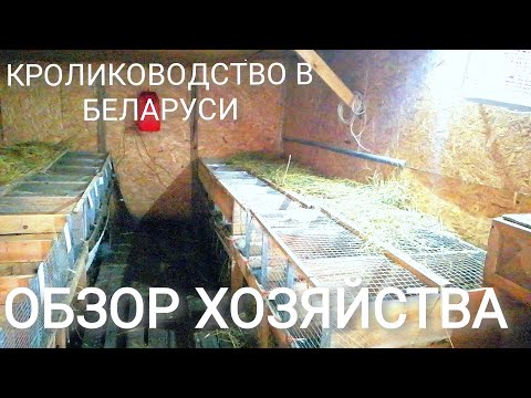 Видео: Обзор хозяйства, сельская жизнь в Беларуси