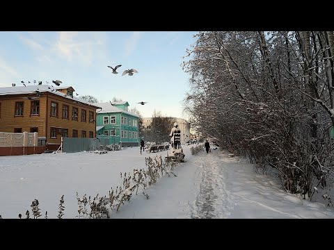 Видео: 4K Первый снег. Архангельск. First snow. Arkhangelsk.第一场雪。阿尔汉格尔斯克。