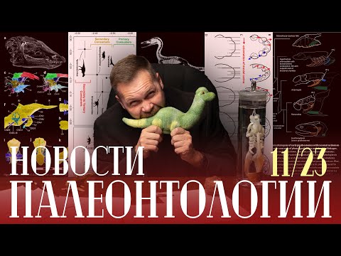 Видео: Роющие динозавры? | Троодоны были всеядными? | Кто кусал завропод? | Птичьи следы в триасе?