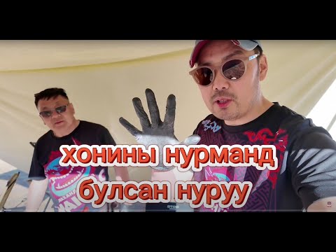 Видео: Нурманд булж шарсан хонины нуруу... хичээл 5