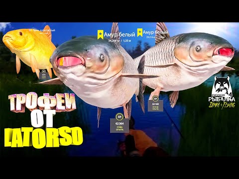 Видео: Русская рыбалка 4. 🎣 оз. Медвежье 🐳🐡🐳💦 ТРОФЕИ от LATORSO 👀