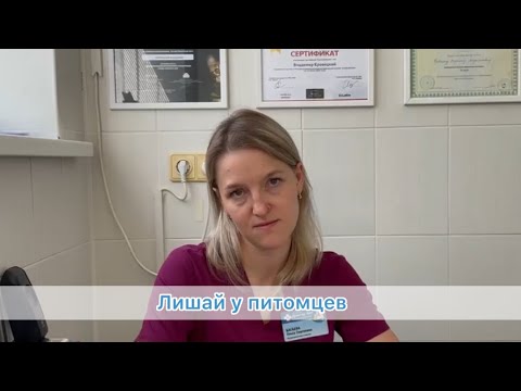 Видео: Лишай у животных