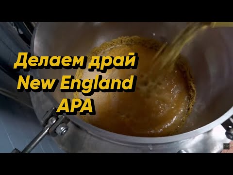 Видео: Сухое охмеление New England APA | Делаем драй Нью Ингланд APA | Стратегия 21