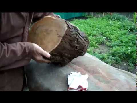 Видео: ДЕЛАЕМ ТОРЦЕВЫЕ СПИЛЫ В ОДИН РАЗМЕР.  WE MAKE FRONT SAWS IN ONE SIZE.