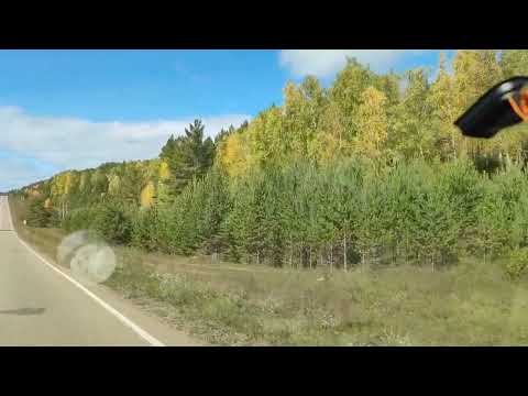 Видео: Простые радости деревни.Осень, осень,красота.