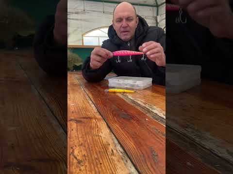 Видео: Твичинг щука жор октябрь #fishing #рыбалка #щука #воблера #jackal 