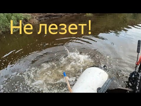 Видео: Трофей никак не лезет в сачок. Рыбалка на Вятке за народным памятником навигации.