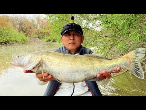 Видео: Рыбалка в Астане СУДАК-МУДАК.