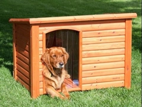 Видео: Будка для собаки правила и размеры / Будка для собаки теория /  Doghouse dog rules and dimensions