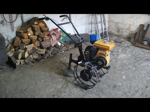 Видео: Выращивание картофеля. Мотокультиватор или мотоблок?