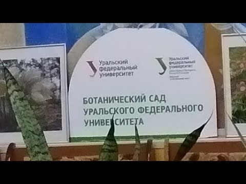 Видео: Выставка🏵🌹🌺цветов🌺🌹🏵Екатеринбург ♥