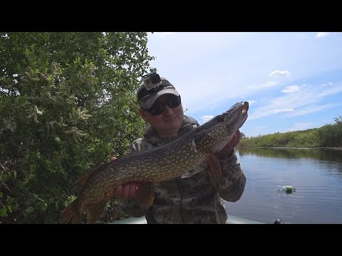 Видео: Рыбалка на щуку! Рыбалка  в центральном Казахстане. Открытие сезона по зубастому.