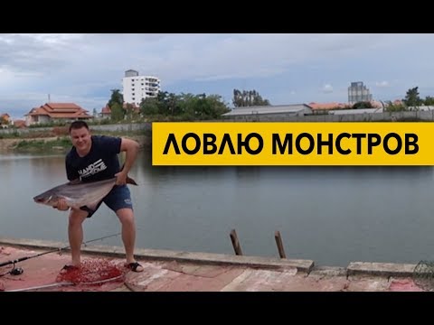 Видео: РЫБАЛКА В ТАЙЛАНДЕ. Ловля сомов, пангасиуса в Паттайе. Fishing park Pattaya