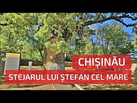 Видео: Chișinău - Stejarul lui Ștefan cel Mare. Moldova | Кишинёв - Дуб Штефана чел Маре. Молдова