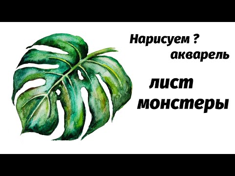 Видео: Как нарисовать лист монстеры акварелью // Short watercolor painting tutorial: leaf of monstera