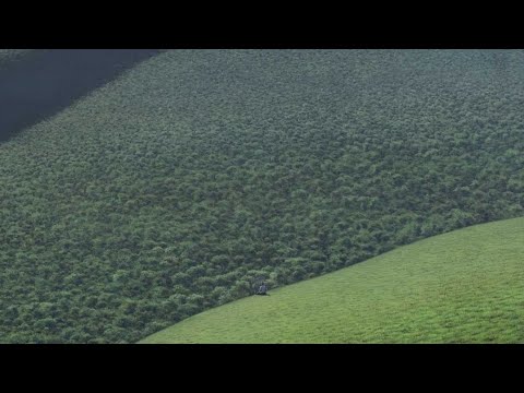 Видео: Больше, чем осознанность простыми словами (Часть 2) I Бхантэ Хенепола Гунаратана