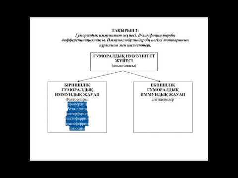 Видео: Гуморальдық иммундық жүйе В лимфоцит дифференциялануы Иммуноглобулиндер