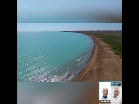 Видео: #тамды сөзі: Қайрат Исаев әні және орындаушы Тайбасар Молдиманов