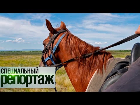 Видео: Байге. Скачки на большие расстояния || Специальный репортаж