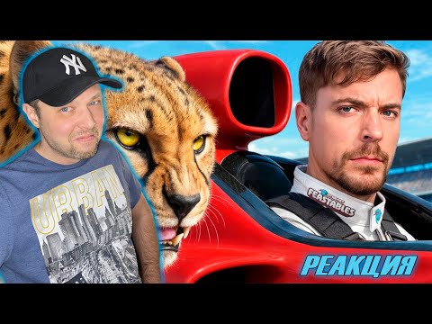 Видео: Реакция на Мистер Бист / Самая Быстрая Машина в Мире vs Гепард!