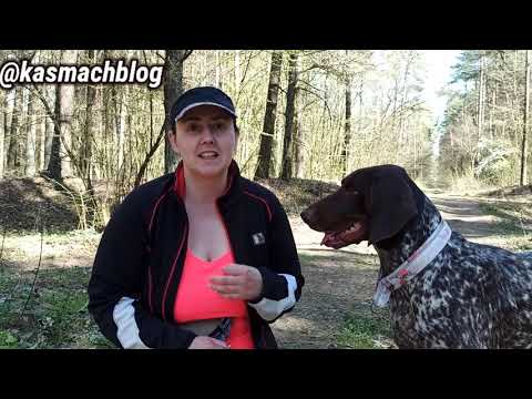Видео: Провисший поводок. Задание 2 и 3.
