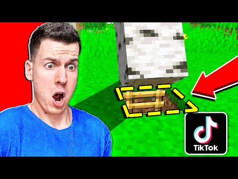 Видео: ЭТО САМЫЙ СЕКРЕТНЫЙ ДОМ! ПРОВЕРКА ЛАЙФХАКОВ ИЗ ТИК ТОКА В МАЙНКРАФТ