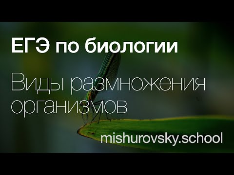 Видео: Виды размножения организмов | Биология ЕГЭ