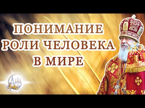 Видео: Понимание роли человека в мире