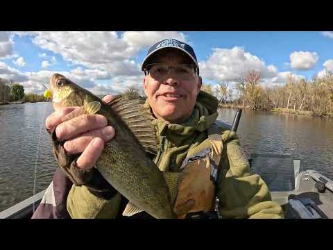 Видео: 🎣 Ноябрьский лов судака на реке Вулф!