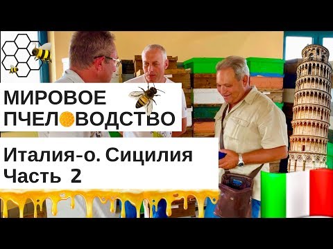 Видео: МИРОВОЕ ПЧЕЛОВОДСТВО- О.Сицилия,  ЧАСТЬ 2+местная ВИНОДЕЛЬНЯ