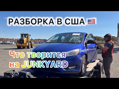 Видео: КАК МЫ ЗАРАБАТЫВАЕМ НА РАЗБОРКЕ МАШИН В США 💵