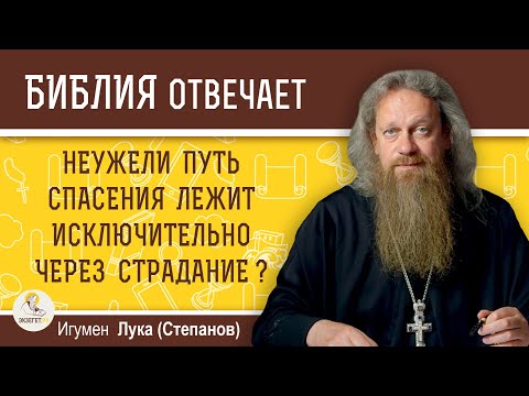 Видео: НЕУЖЕЛИ ПУТЬ СПАСЕНИЯ ЛЕЖИТ ИСКЛЮЧИТЕЛЬНО ЧЕРЕЗ СТРАДАНИЕ ?  Игумен Лука (Степанов)