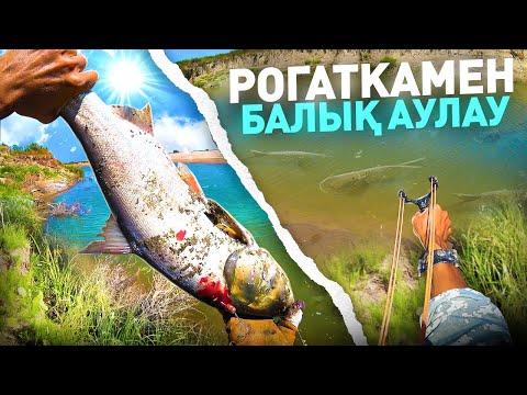 Видео: РОГАТКАМЕН ТРОФЕЙ ІЗДЕУГЕ ШЫҚТЫҚ